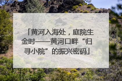 黄河入海处，庭院生金时——黄河口畔“归寻小院”的振兴密码