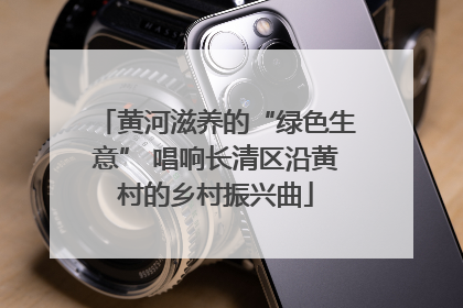 黄河滋养的“绿色生意” 唱响长清区沿黄村的乡村振兴曲