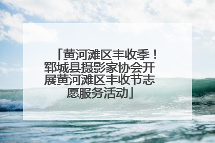 黄河滩区丰收季！郓城县摄影家协会开展黄河滩区丰收节志愿服务活动