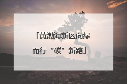 黄渤海新区向绿而行“碳”新路