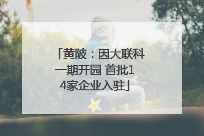 黄陂：因大联科一期开园 首批14家企业入驻