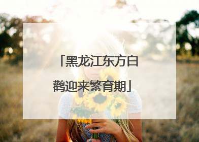 黑龙江东方白鹳迎来繁育期