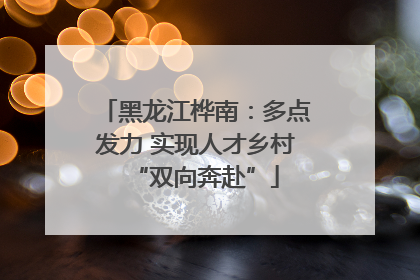 黑龙江桦南：多点发力 实现人才乡村“双向奔赴”