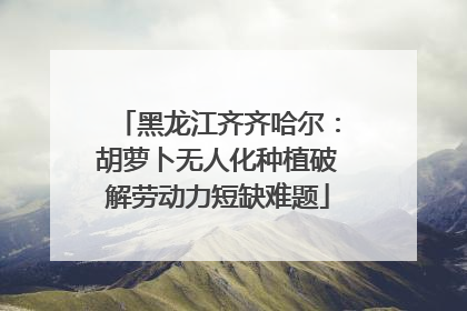 黑龙江齐齐哈尔：胡萝卜无人化种植破解劳动力短缺难题