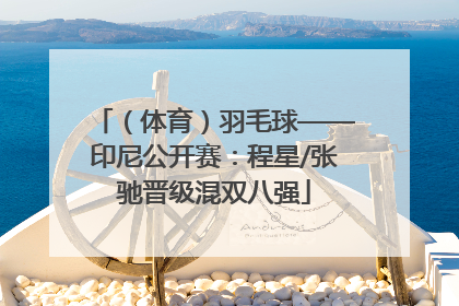 （体育）羽毛球——印尼公开赛：程星/张驰晋级混双八强