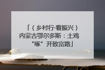 （乡村行·看振兴）内蒙古鄂尔多斯：土鸡“啄”开致富路