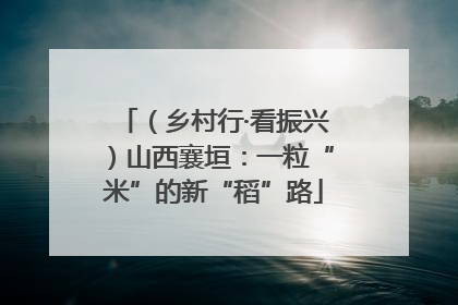 （乡村行·看振兴）山西襄垣：一粒“米”的新“稻”路