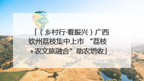 （乡村行·看振兴）广西钦州荔枝集中上市 “荔枝+农文旅融合”助农增收