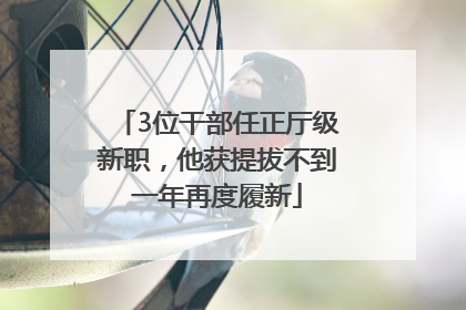 3位干部任正厅级新职，他获提拔不到一年再度履新
