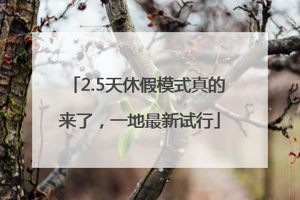 2.5天休假模式真的来了，一地最新试行