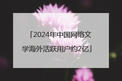 2024年中国网络文学海外活跃用户约2亿
