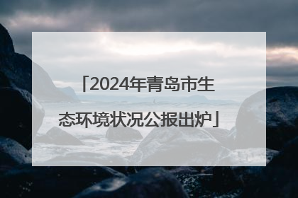 2024年青岛市生态环境状况公报出炉