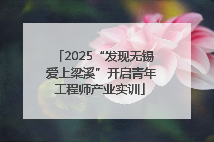 2025“发现无锡 爱上梁溪”开启青年工程师产业实训