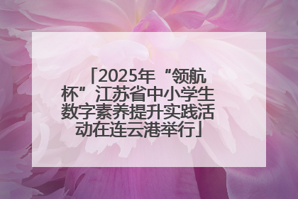2025年“领航杯”江苏省中小学生数字素养提升实践活动在连云港举行