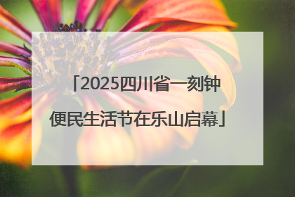2025四川省一刻钟便民生活节在乐山启幕