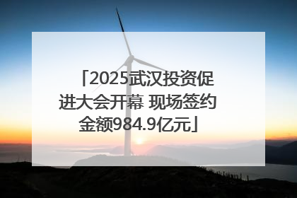 2025武汉投资促进大会开幕 现场签约金额984.9亿元