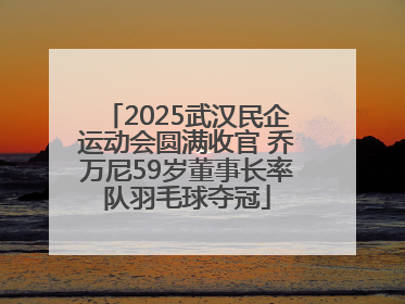2025武汉民企运动会圆满收官 乔万尼59岁董事长率队羽毛球夺冠