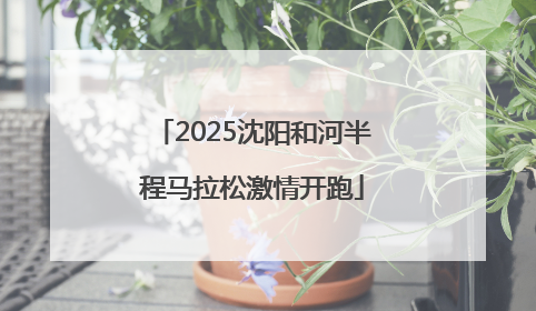 2025沈阳和河半程马拉松激情开跑
