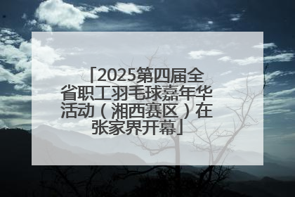 2025第四届全省职工羽毛球嘉年华活动（湘西赛区）在张家界开幕