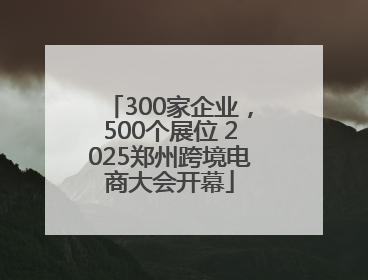 300家企业，500个展位 2025郑州跨境电商大会开幕