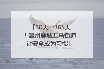 30天→365天！温州鹿城五马街道让安全成为习惯