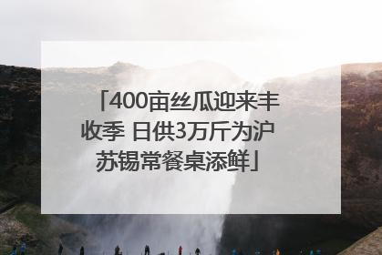 400亩丝瓜迎来丰收季 日供3万斤为沪苏锡常餐桌添鲜