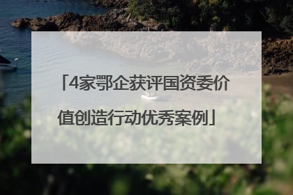 4家鄂企获评国资委价值创造行动优秀案例