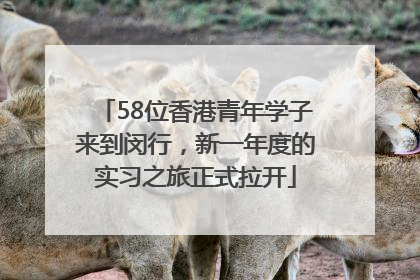 58位香港青年学子来到闵行，新一年度的实习之旅正式拉开
