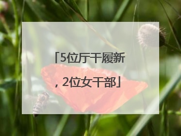 5位厅干履新，2位女干部