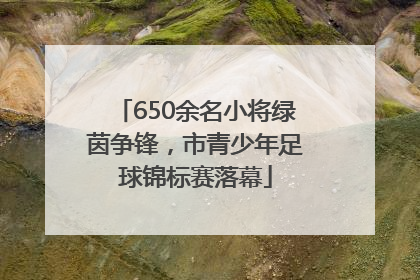 650余名小将绿茵争锋，市青少年足球锦标赛落幕