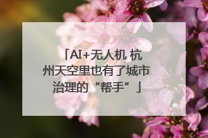 AI+无人机 杭州天空里也有了城市治理的“帮手”